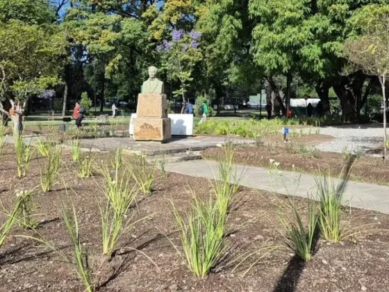 La Municipalidad ejecuta tareas de parquización en espacios verdes de la ciudad