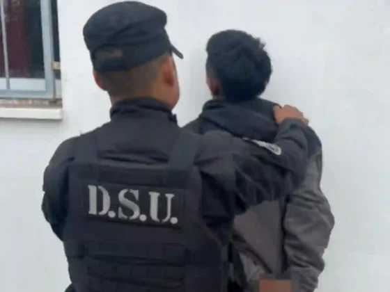 Seguridad Urbana secuestró una planta de marihuana en Capital