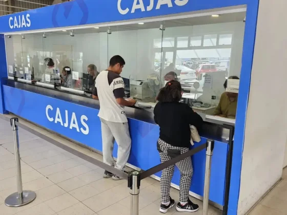 Nuevos servicios en la Declaración Jurada Online de TISSH