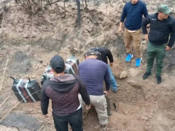Narcotráfico en Salta: encontraron droga enterrada donde intentó aterrizar la avioneta