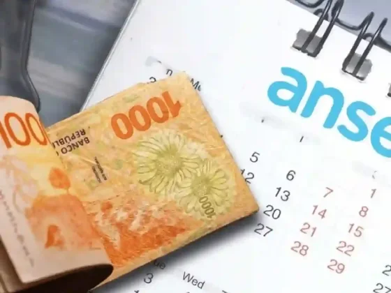 ANSES: quiénes cobran este miércoles 12 de noviembre