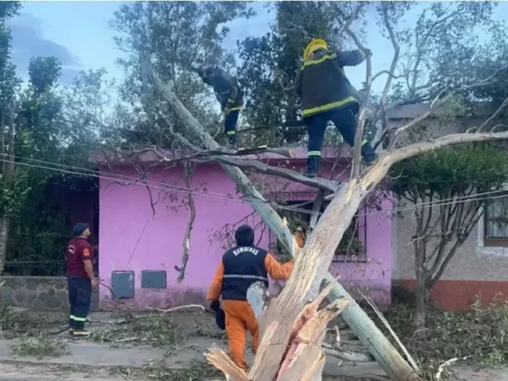 Metán bajo alerta: vientos de más de 70 km/h provocan cortes de luz y caída de árboles