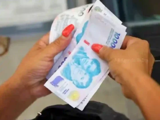 Anses cierra el cálculo del aguinaldo: el monto total que recibirán los jubilados