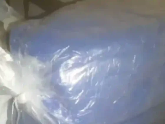 Gendarmería secuestra más de 700 kilos de hoja de coca y detiene a dos salteños