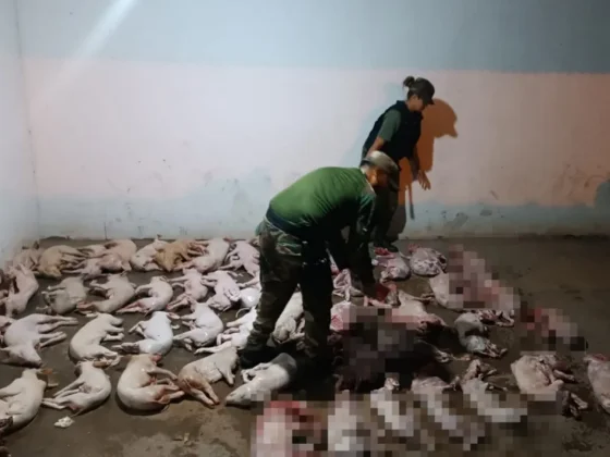 La Policía Rural secuestró carne no apta para consumo
