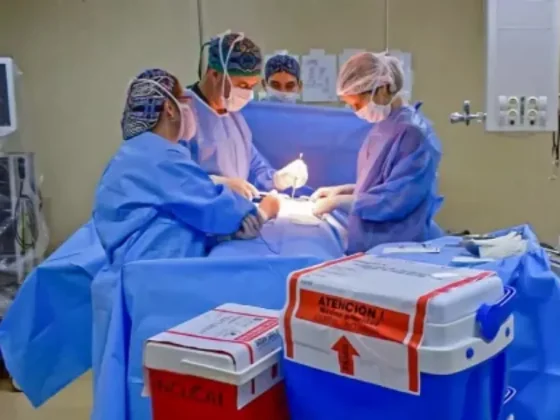 Se realizó el decimocuarto operativo de ablación multiorgánico del año