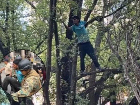 Tensión en el centro: un hombre trepó a un árbol en Plaza 9 de Julio y exigió trabajo a los gritos