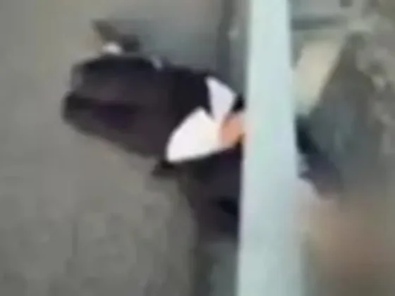 Murió el hombre salvajemente agredido en Aguaray y la causa se endurece