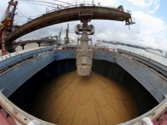 El Gobierno bajó retenciones a granos y busca dar aire al sector agropecuario