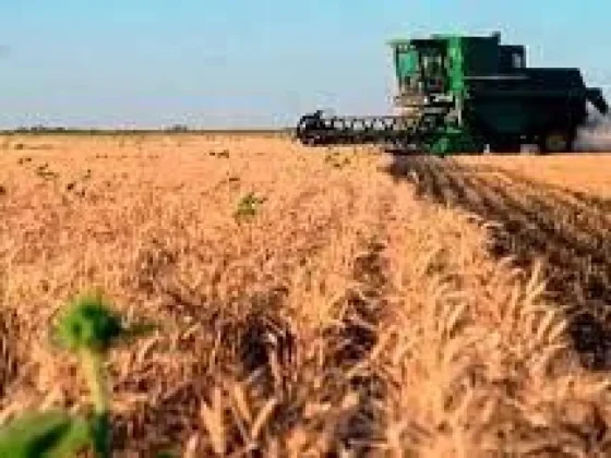 El Gobierno anuncia baja de retenciones y busca reactivar la producción agroindustrial