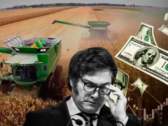 Baja de retenciones: hay 20% de la cosecha de soja sin liquidar ¿cuánto recaudará?