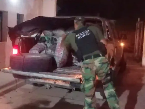 Secuestran 800 kilos de carbón vegetal ilegal durante un operativo sobre la ruta provincial 5
