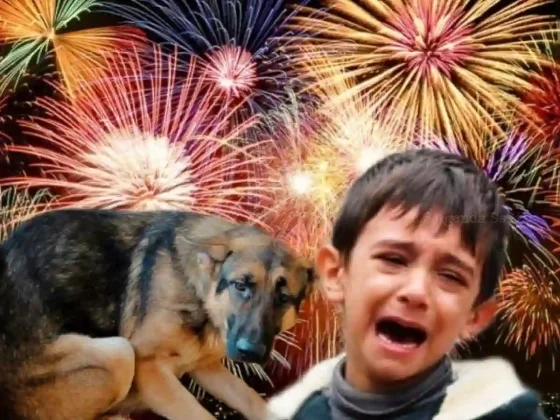 Pese a las normativas vigentes, la tradición ruidosa persiste en las fiestas de fin de año.