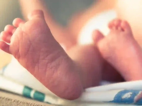 Navidad llena de vida: 22 bebés nacieron en el Materno Infantil entre Nochebuena y el 25