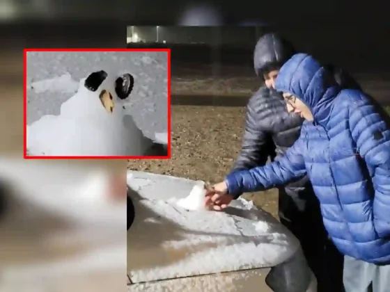 ¡Nieve en Navidad! San Antonio de los Cobres se cubrió de blanco