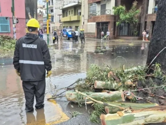 Temporal en Salta: tormentas, granizo y cortes de luz afectan a barrios de Capital y el Valle de Lerma