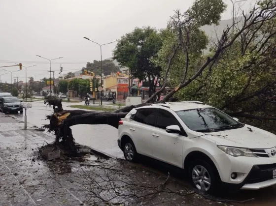 La Municipalidad refuerza operativos tras el fuerte temporal en la ciudad