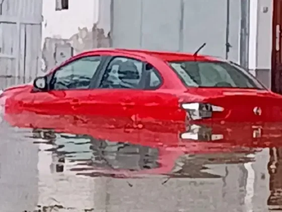 Tormenta intensa inunda calles y deja árboles caídos en la capital salteña