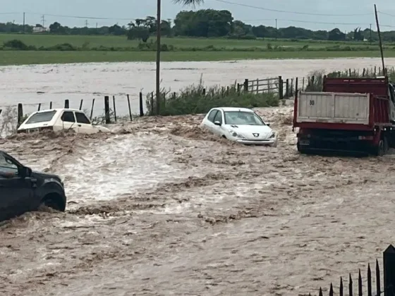 Estado de transitabilidad – Ruta Nacional N° 68
