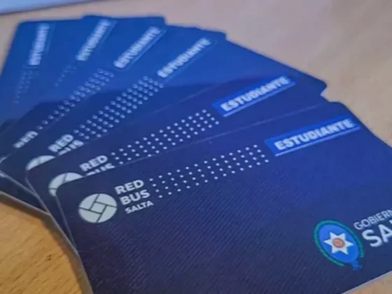 Tarjeta Estudiantil Provincial 2026: inicia el trámite de renovación para estudiantes universitarios del interior