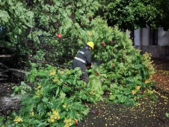 La Municipalidad intervino en 20 incidentes ocasionados por la tormenta