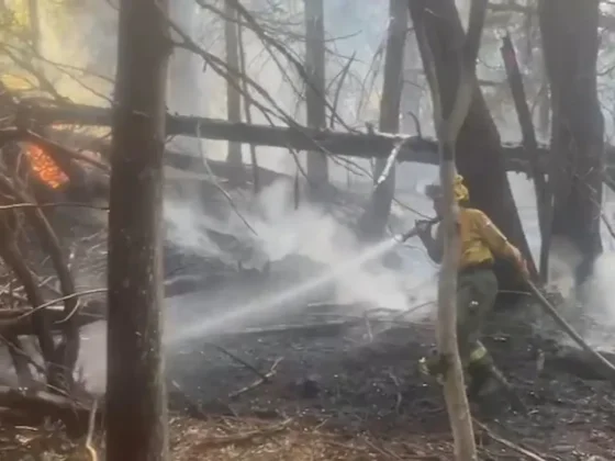 Alerta en Chubut: hay nuevos focos de incendio y una ola de calor extrema complica el combate del fuego