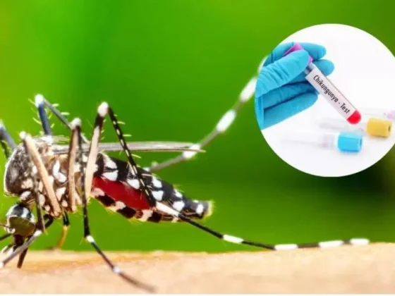 Rosario de la Frontera registra primer contagio de Chikungunya