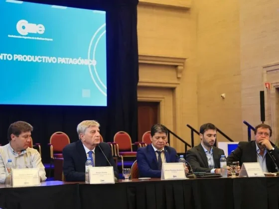 Gobernadores patagónicos reclaman una ley urgente para enfrentar los incendios