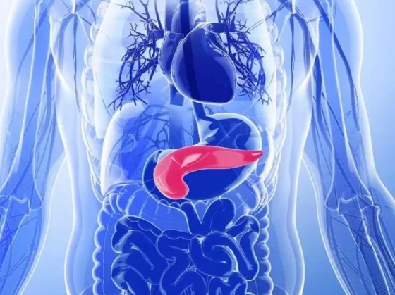 Un avance clave abre nuevas expectativas contra el cáncer de páncreas