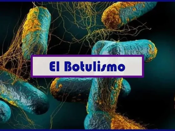 Confirmaron un caso de botulismo del lactante en la Capital