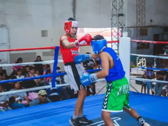 Se viene una nueva capacitación sobre boxeo para profesores de Ed. Física