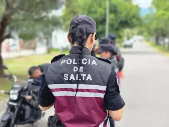 Controles, patrullajes y demorados en operativos de seguridad urbana