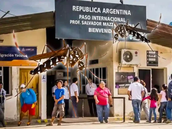 Cerrarán la frontera por aumento de casos de dengue en Bolivia