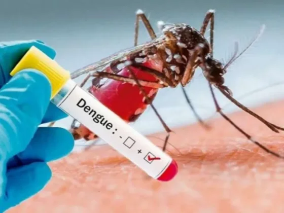 Salta en alerta: advierten que en 10 días podría desatarse un brote de dengue