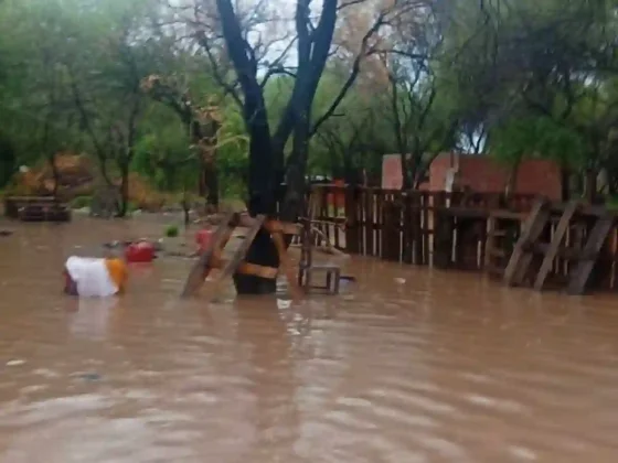 Inundaciones en Salta: Más de 50 familias de Morillo bajo el agua