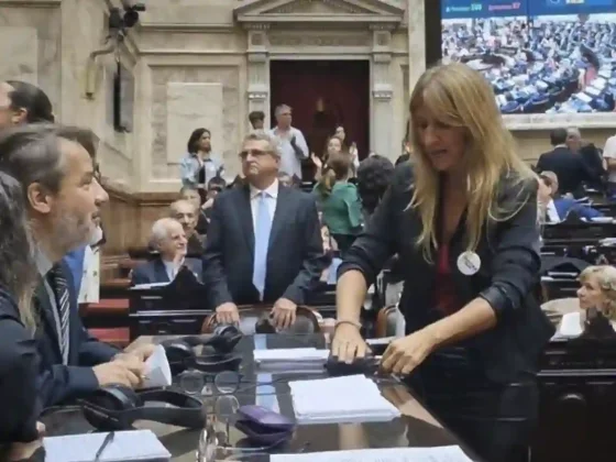 En un acto insólito la diputada kirchnerista Florencia Carignano desconecta los cables de los taquígrafos