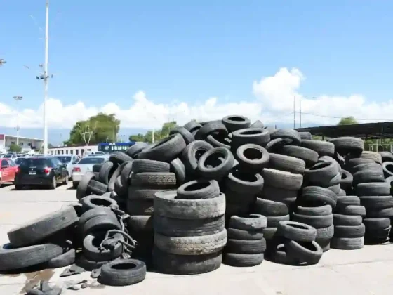 Febrero culmina con una exitosa edición del Neumatón en el CCM