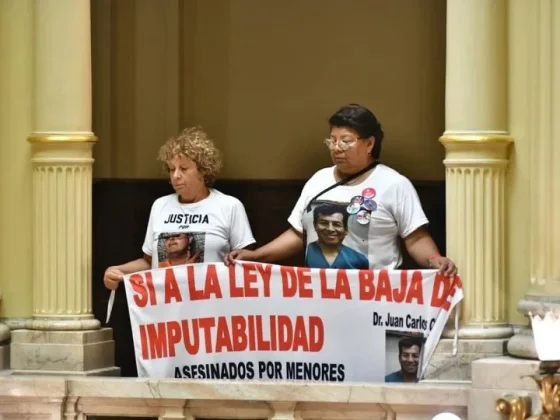 El Senado aprobó la baja de la edad de imputabilidad a 14 años