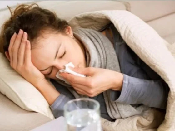 Salta ya suma 1.687 casos de gripe en 2026: cuáles son los virus que circulan