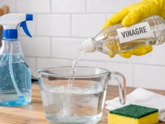 Por qué recomiendan agregar vinagre al agua para limpiar azulejos de la cocina