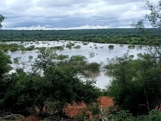 Las inundaciones arrasan monte y campos de Rivadavia