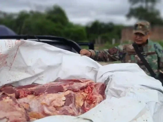 Secuestraron casi una tonelada de carne transportada de forma irregular