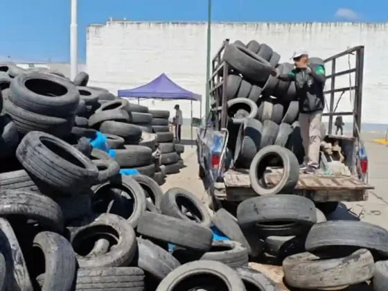 El operativo de Neumatón ya superó las 1.800 toneladas