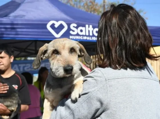 Desde este lunes 30 habrá vacunación antirrábica en barrio Grand Bourg