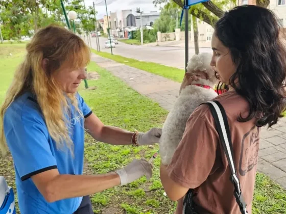 Amplio operativo de vacunación antirrábica en zona oeste
