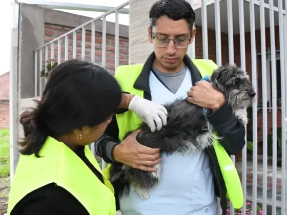 Operativo especial de vacunación antirrábica en zona oeste