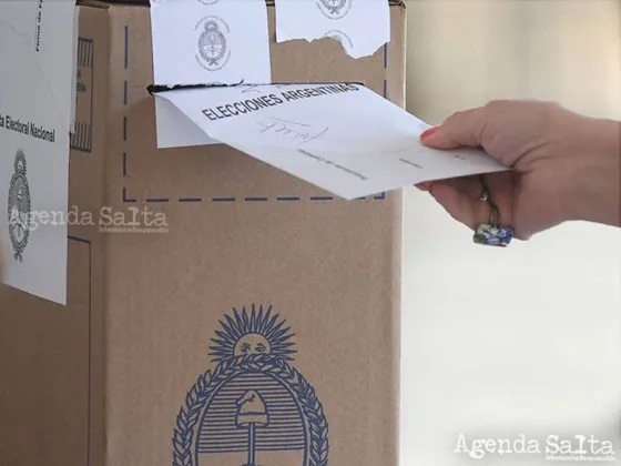 En Salta, el oficialismo argumentó que se “convirtieron en una gran encuesta, previa a la elección general y una encuesta realmente muy cara”.