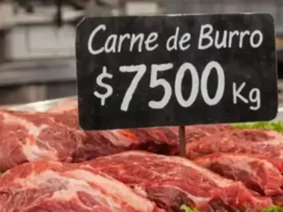 Carne de burro en la Patagonia: se agotó en góndolas y abre debate sobre nuevos consumos