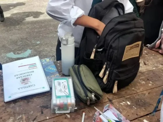 Requisas en escuelas de Salta: la Policía encontró una réplica de arma y reforzó operativos