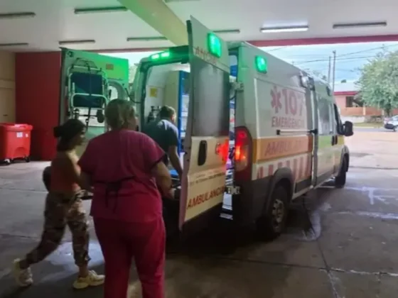 TERRIBLE: un nene de 7 años jugaba en el patio de su casa y fue atacado por siete perros